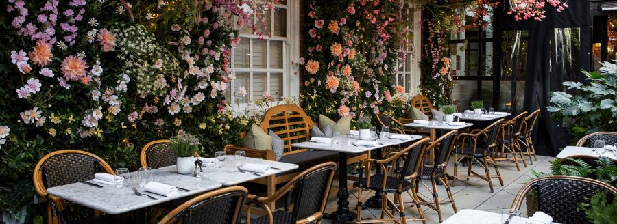 Dalloway Terrace