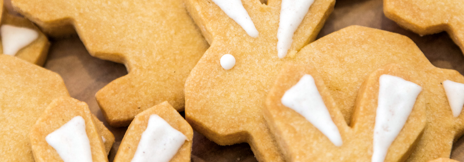 Gail's Easter bunny biscuit