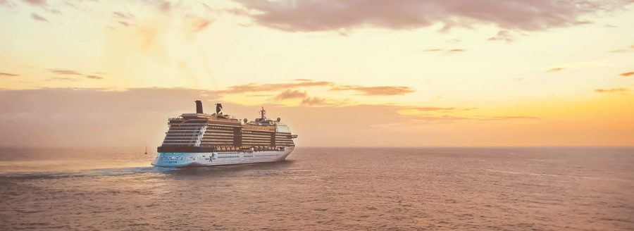 ad rank travel 2019 cruise