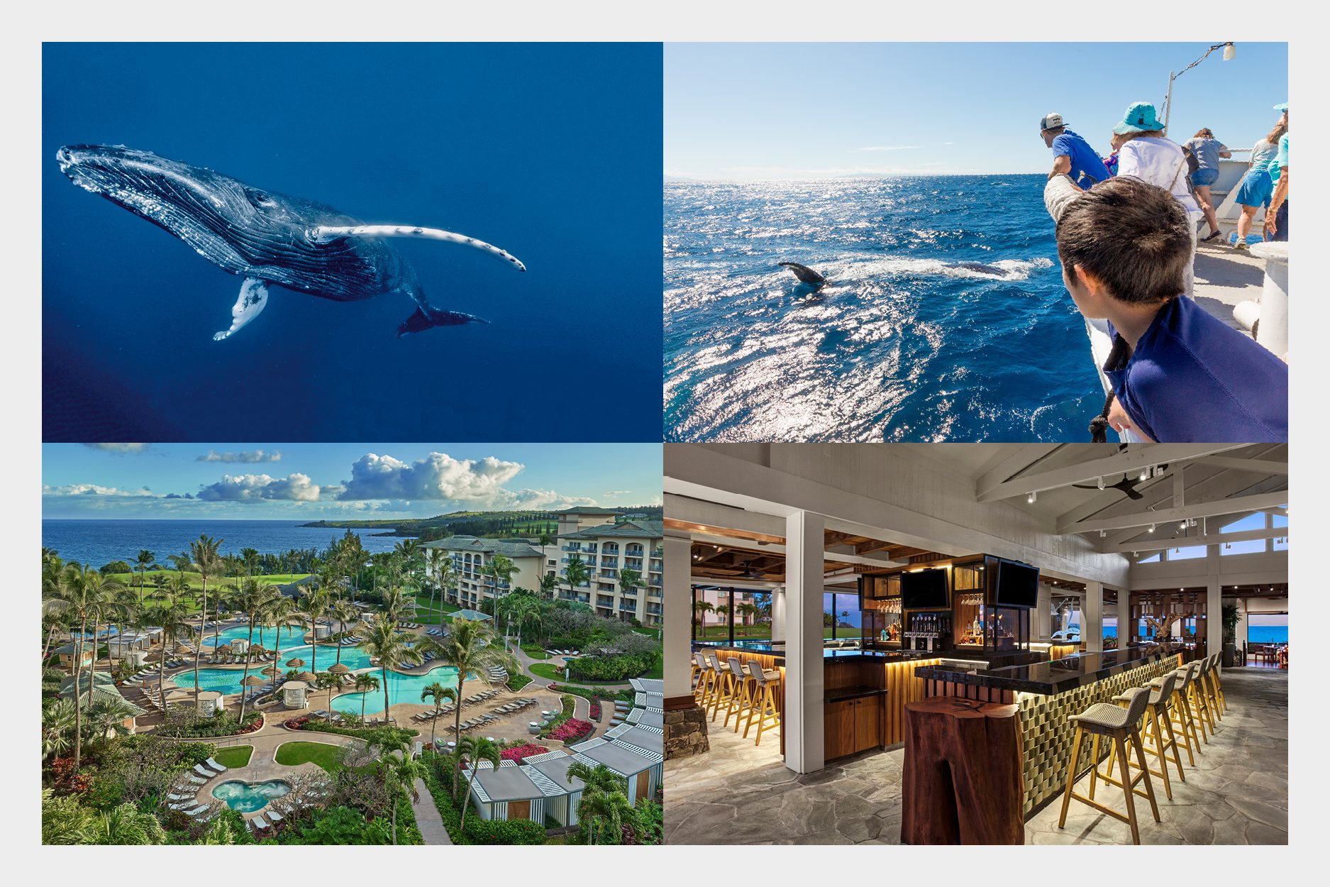 Ritz-Carlton Kapalua Maui Whale Trust