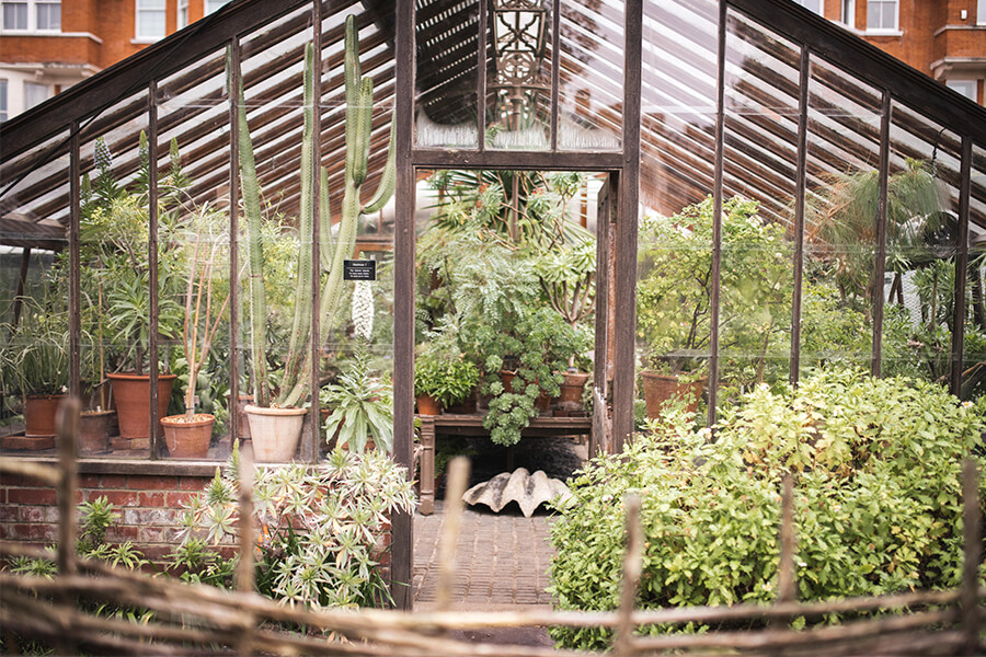 Chelsea physic Garden Greenhouse