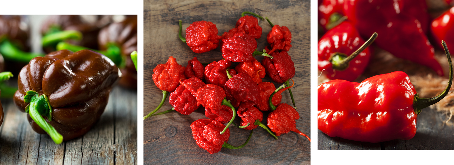 Chillies Christmas