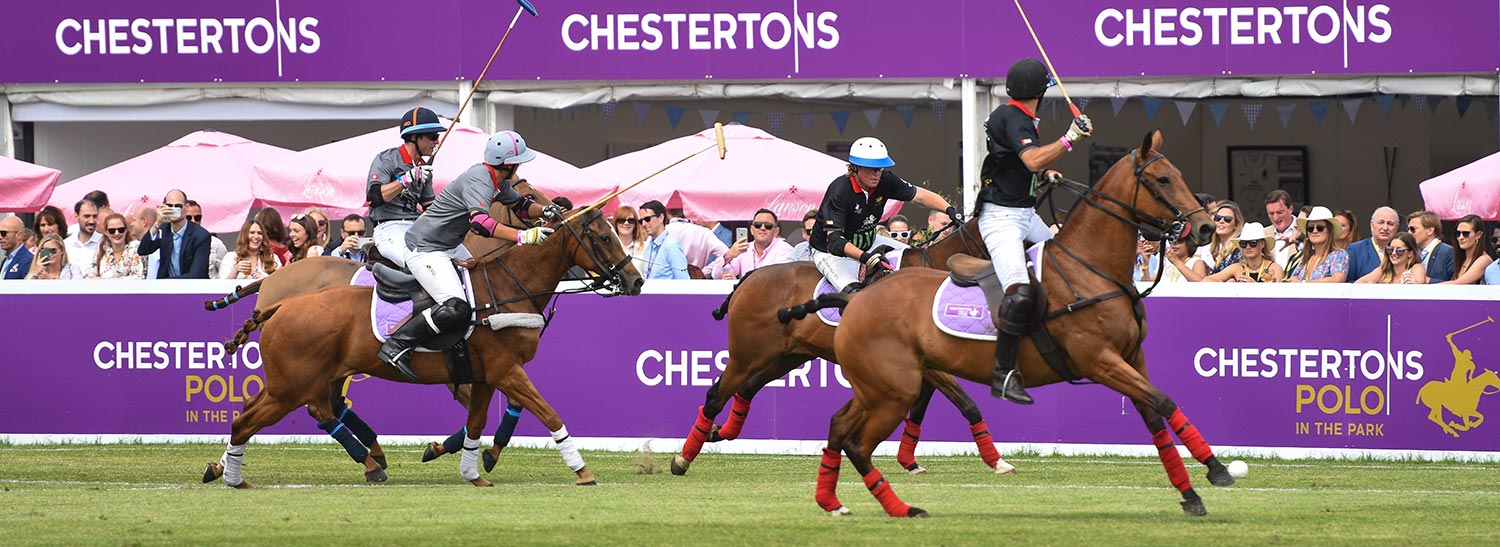 Polo in the park