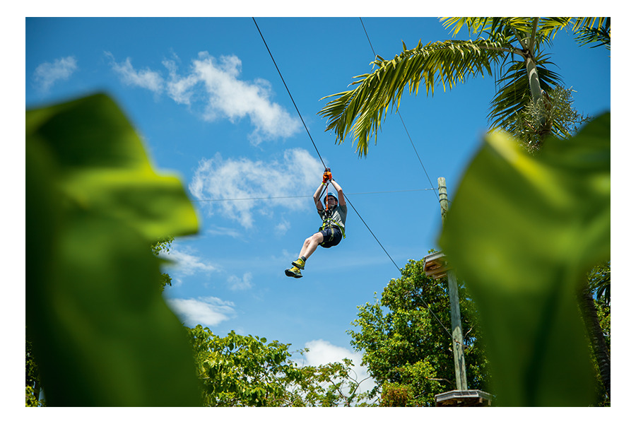 Treetop adventures Miami