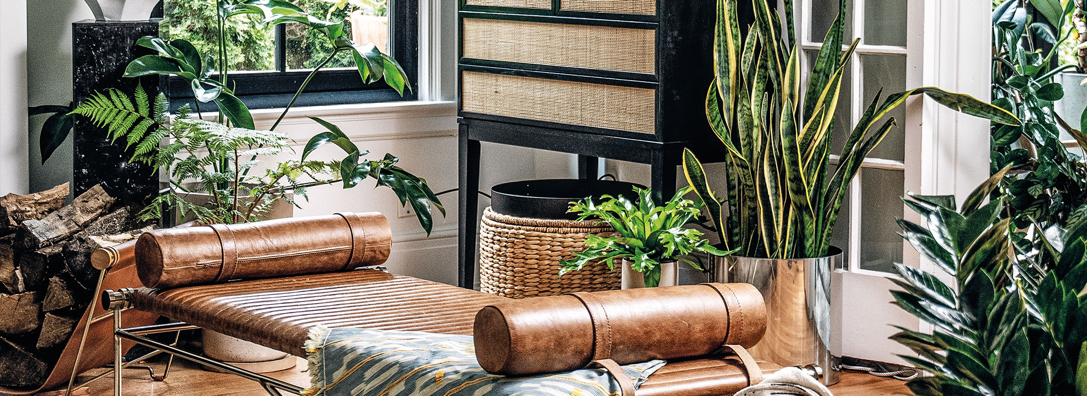 At Home With Hilton Carter
