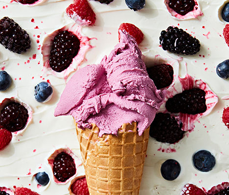 Gelato Forest Fruits Recipe Gelupo