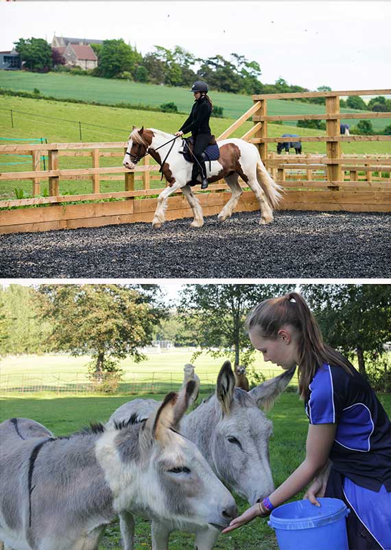 Lancing College Co-Curricular Equestrian and farm