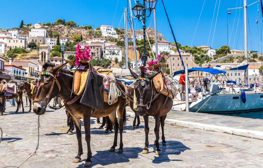 Yacht Charter Greece Hydra Donkey Tours