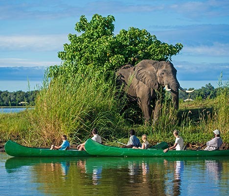 Travel Trends 2025