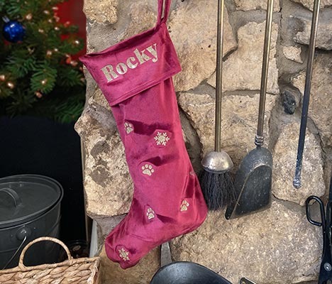 Christmas Pet Stocking Cricut