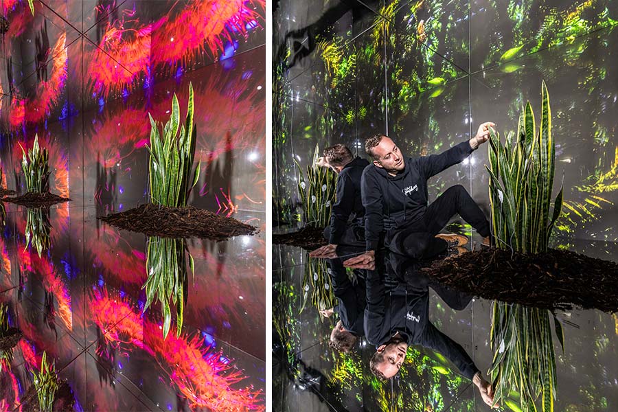 Nature Exhibition Kings Cross