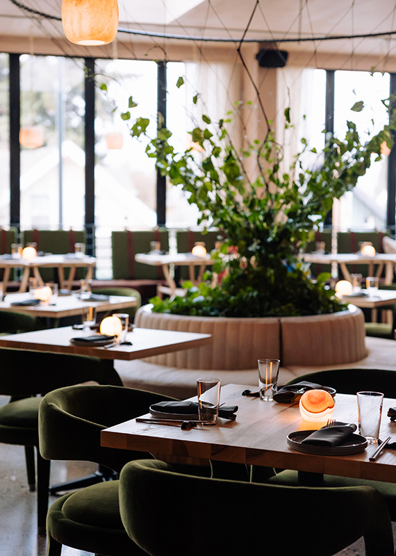 Terra Rae restaurant Cascada Hotel + Thermal Springs